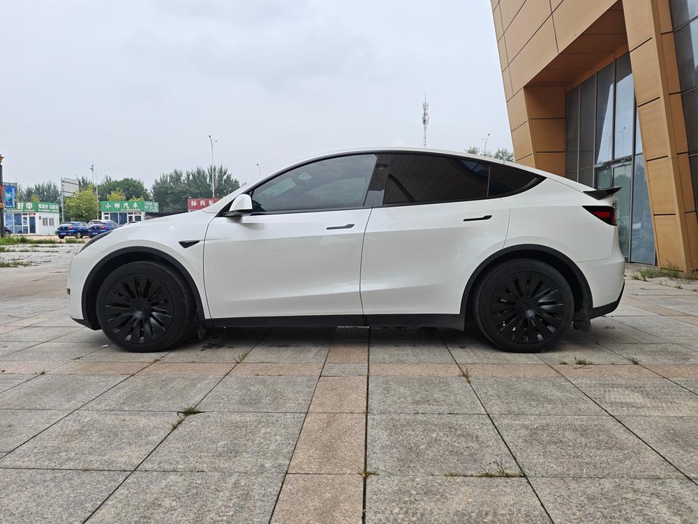 Tesla Model Y 2024 #4 Tesla Model Y 2024 car image #4