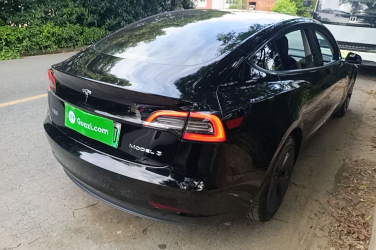 Tesla Model 3 2021 #5 Tesla Model 3 2021 car image #5