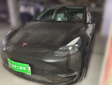 Tesla Model Y 2023 car image 