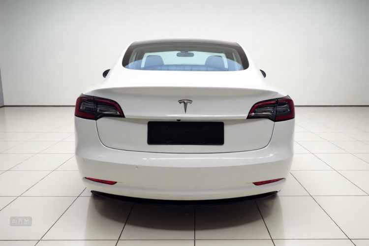 Tesla Model 3 2021 #6 Tesla Model 3 2021 car image #6