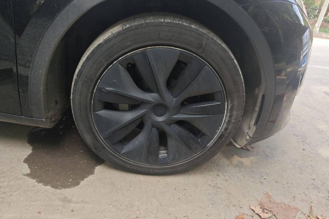 Tesla Model Y 2024 #9 Tesla Model Y 2024 صورة سيارة #9