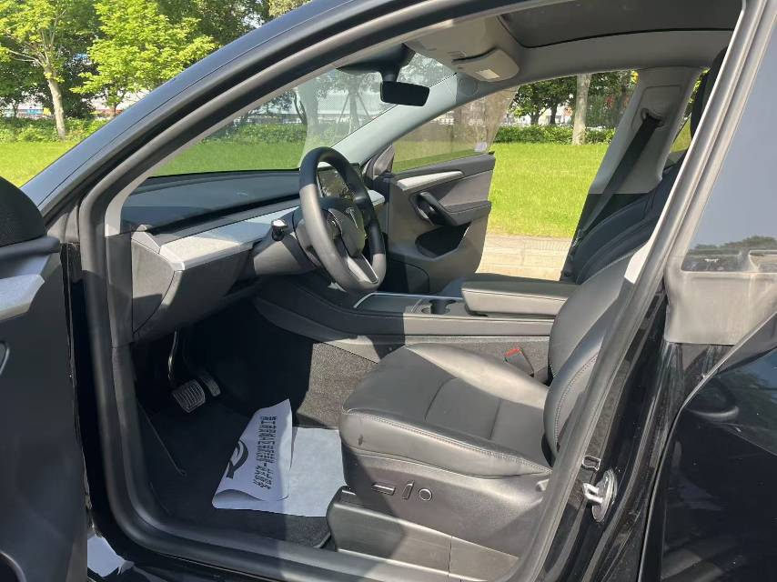 Tesla Model Y 2023 car image #6
