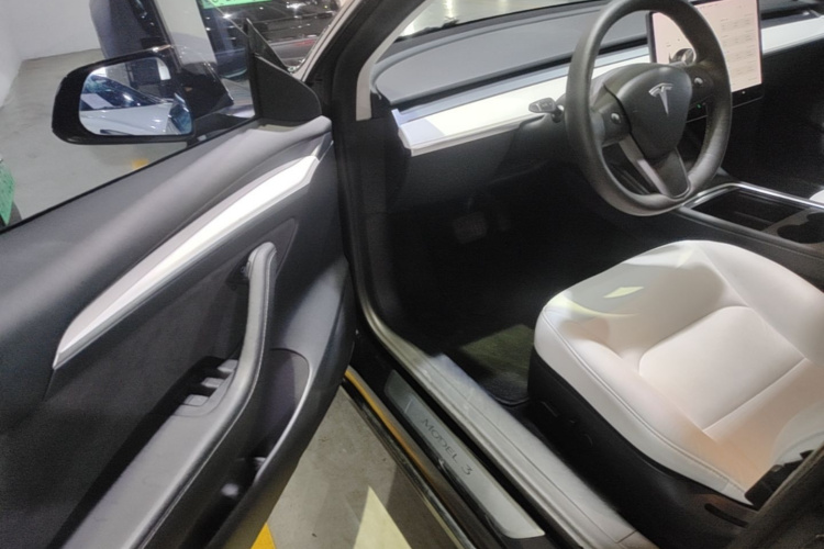 Tesla Model 3 2021 car image #16