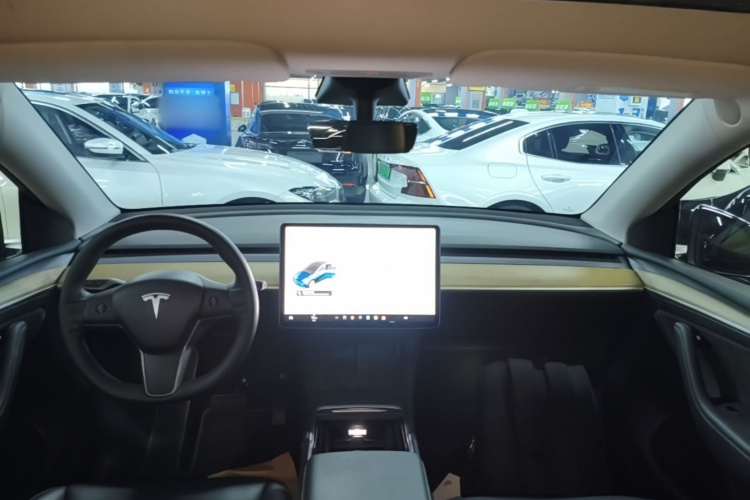 Tesla Model Y 2021 #10 Tesla Model Y 2021 car image #10