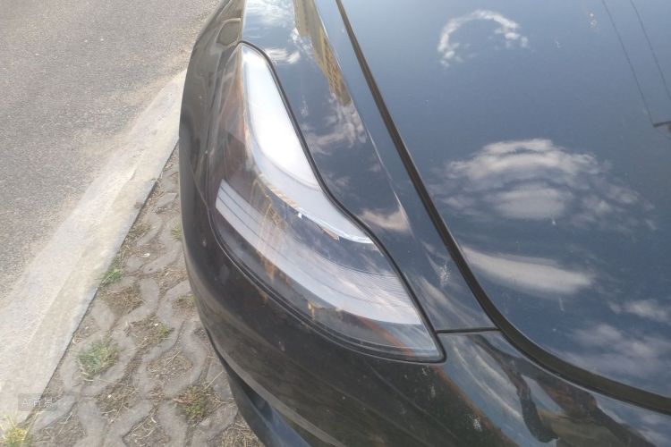 Tesla Model 3 2020 car image #8