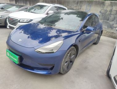 Tesla Model 3 2021 Tesla Model 3 2021 car image