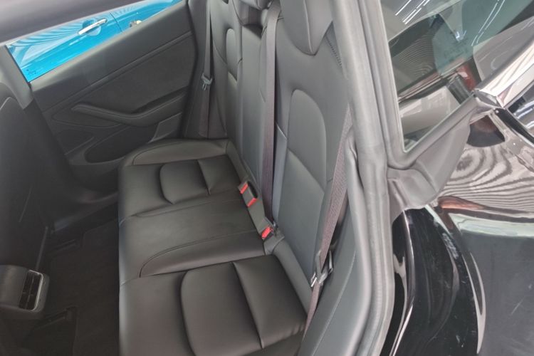Tesla Model 3 2020 #17 Tesla Model 3 2020 car image #17
