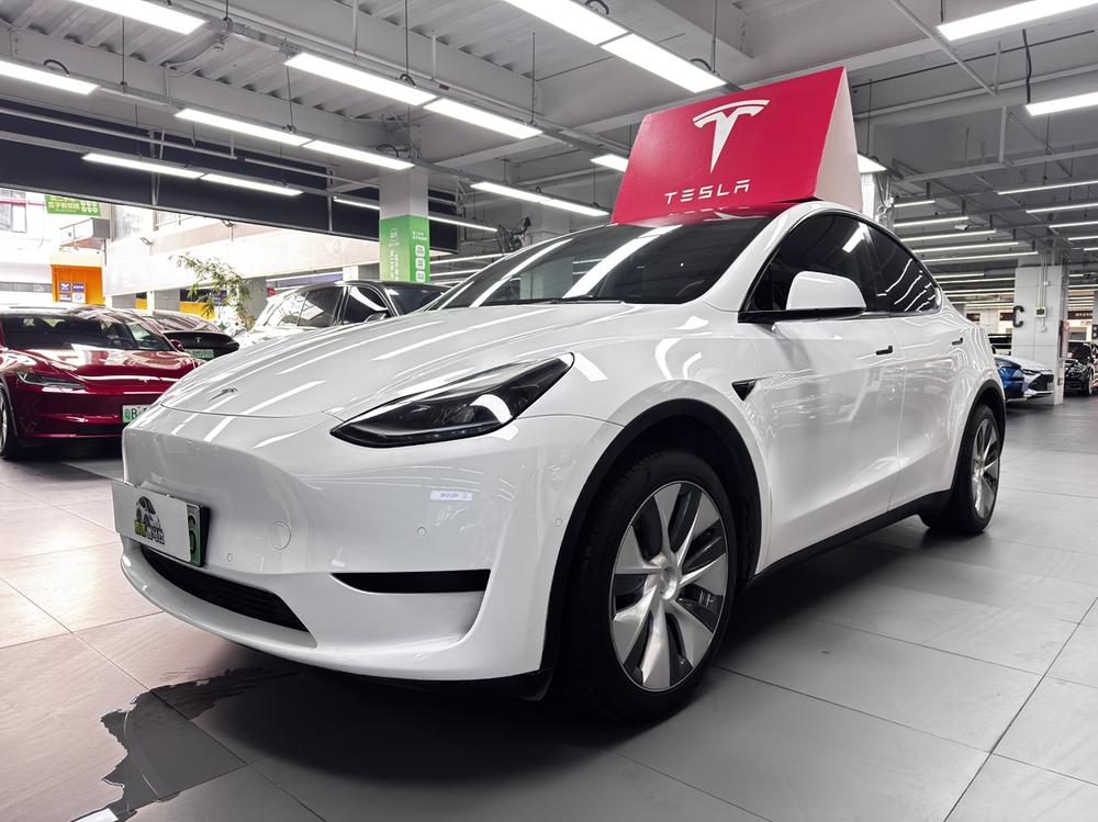 Tesla Model Y 2022 car image 