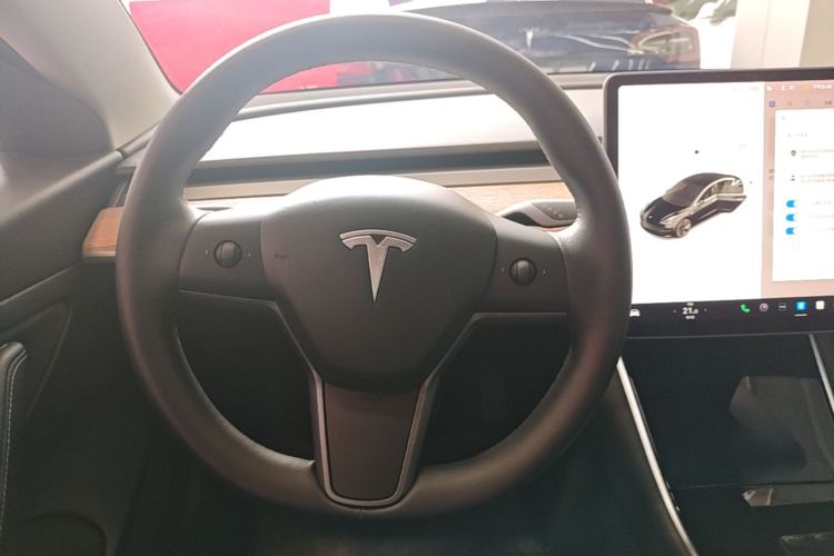 Tesla Model 3 2020 car image #11