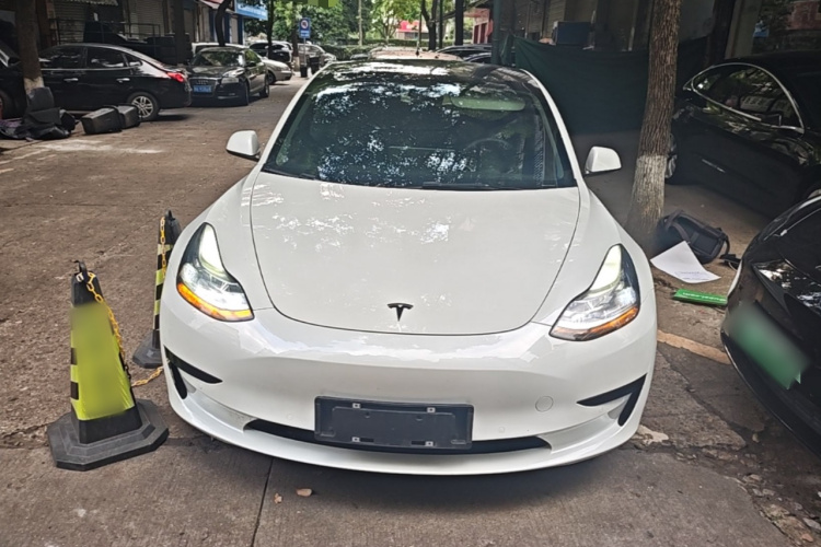 Tesla Model 3 2022 immagine di auto #3
