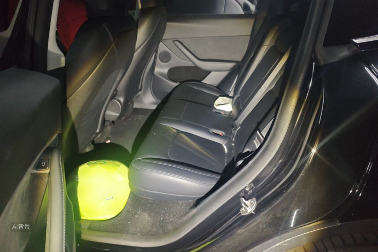 Tesla Model Y 2022 car image #19
