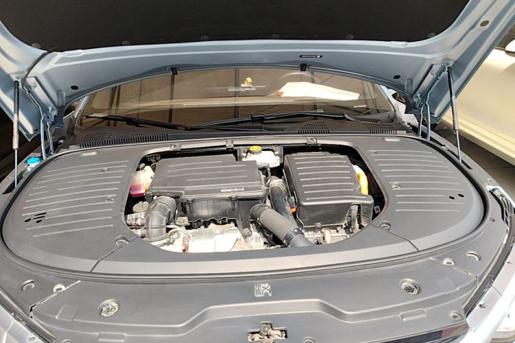 BYD Han 2022 car image #22