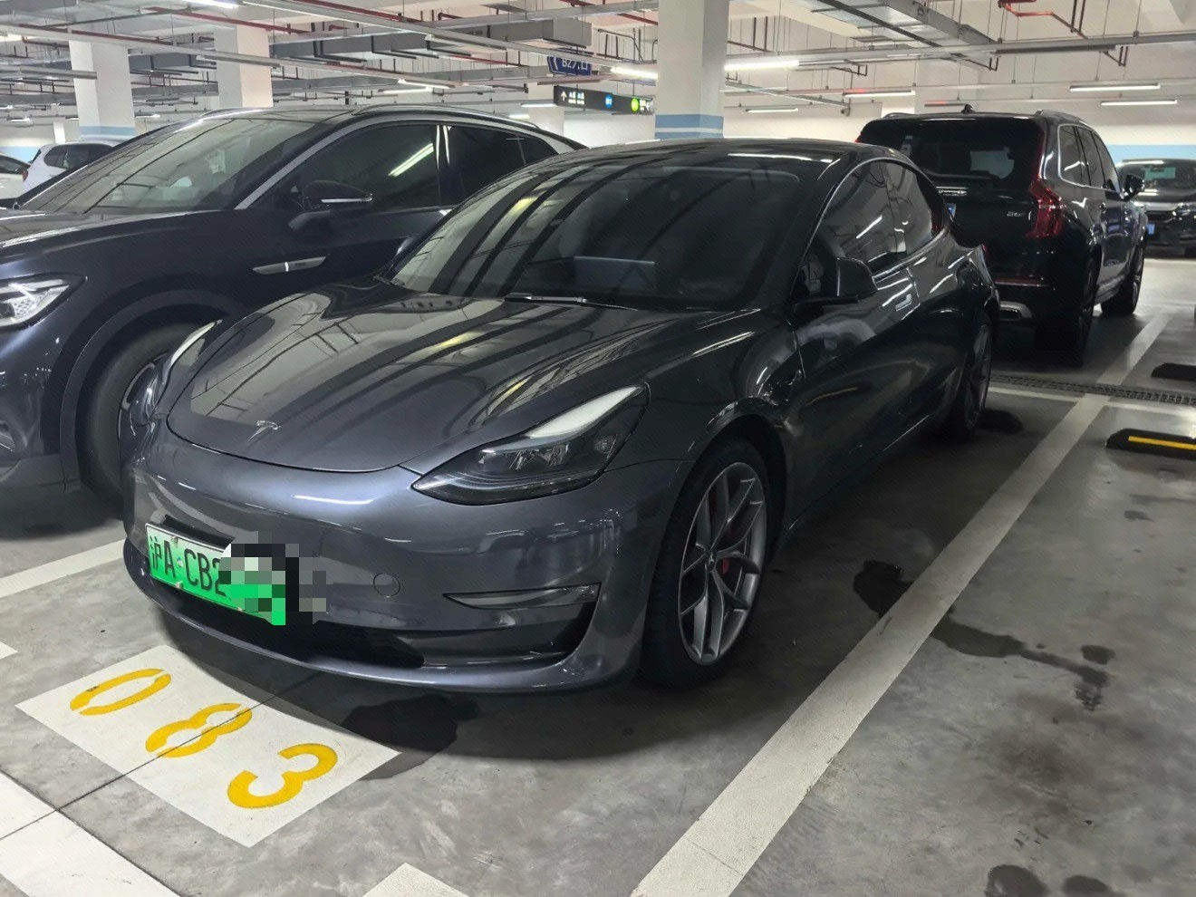 Tesla Model 3 2023 Tesla Model 3 2023 immagine di auto