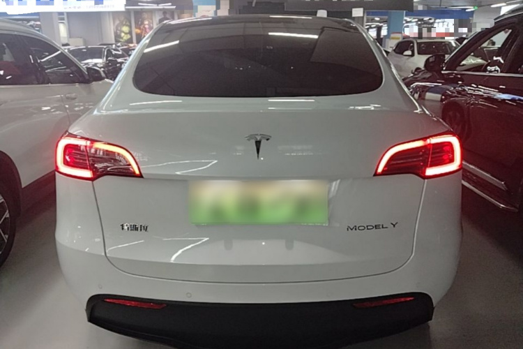 Tesla Model Y 2022 #6 Tesla Model Y 2022 car image #6