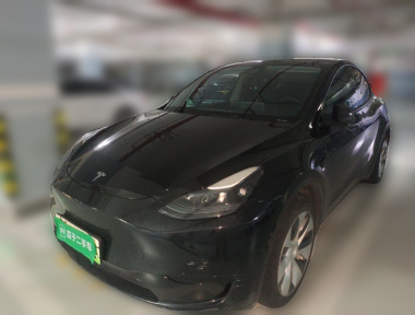 Tesla Model Y 2023 Tesla Model Y 2023 car image