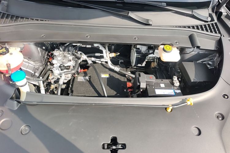 BYD Yuan Plus 2022 car image #20
