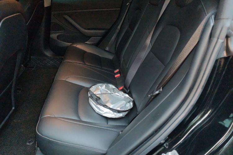 Tesla Model 3 2020 #14 Tesla Model 3 2020 car image #14