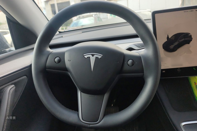 Tesla Model Y 2024 car image #12
