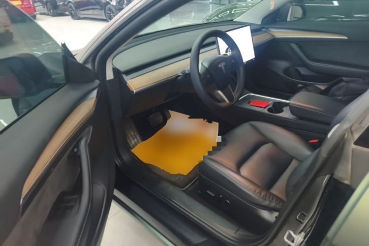 Tesla Model 3 2021 صورة سيارة #16