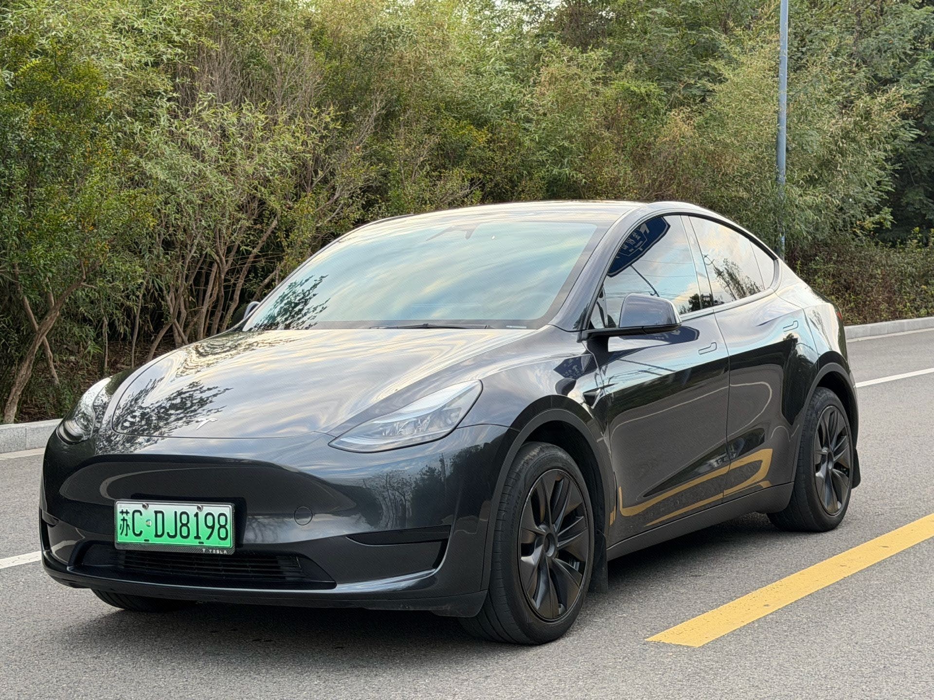 Tesla Model Y 2024 car image 