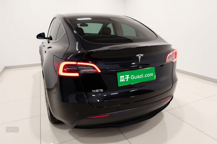 Tesla Model Y 2021 car image #6