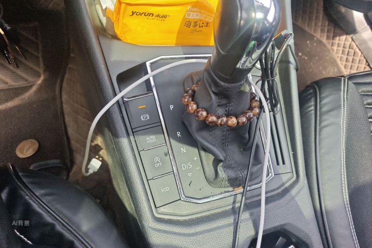 Volkswagen Lavida 2020 car image #16