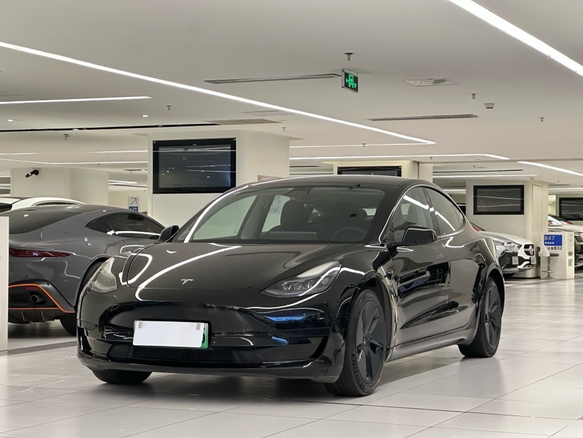 Tesla Model 3 2021 Tesla Model 3 2021 car image