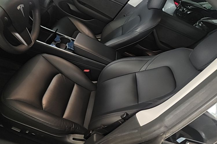 Tesla Model 3 2020 immagine di auto #15