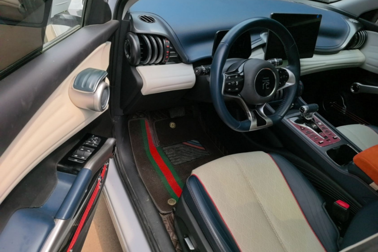 BYD Yuan Plus 2023 car image #12