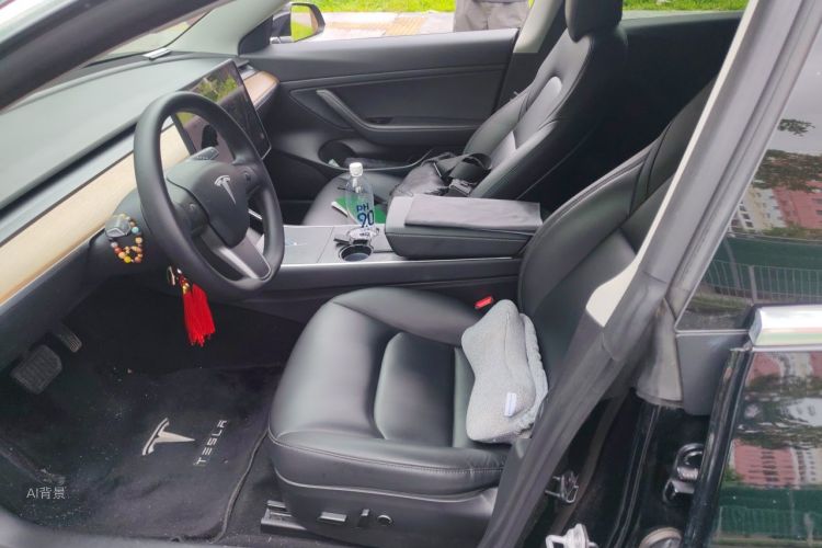 Tesla Model 3 2020 immagine di auto #17