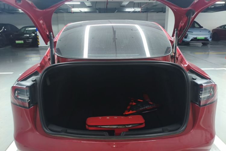 Tesla Model 3 2021 car image #21