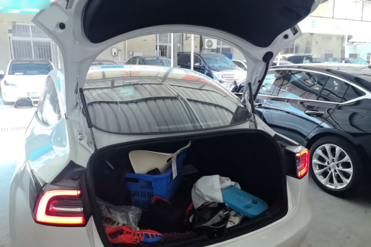 Tesla Model 3 2020 immagine di auto #19
