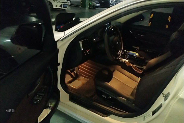 BMW 3 Series 2018 car image #18