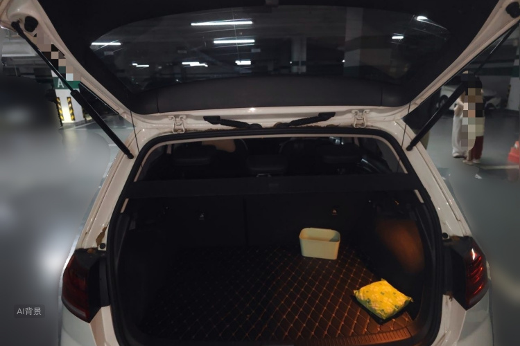 Volkswagen Golf 2020 car image #21