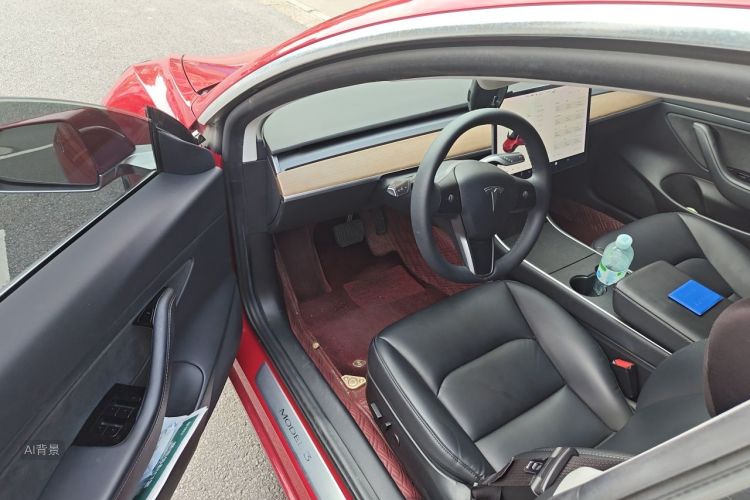 Tesla Model 3 2020 car image #18