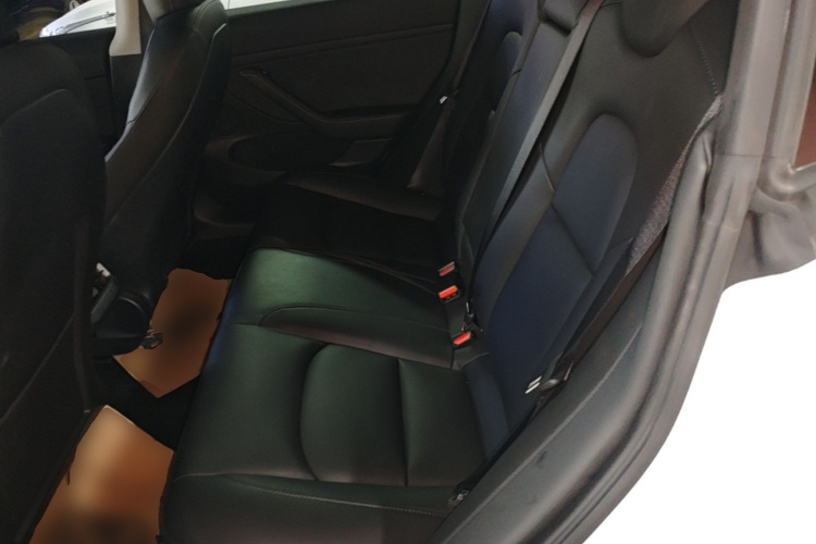 Tesla Model 3 2021 car image #13