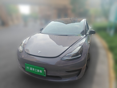 Tesla Model 3 2022 car image 