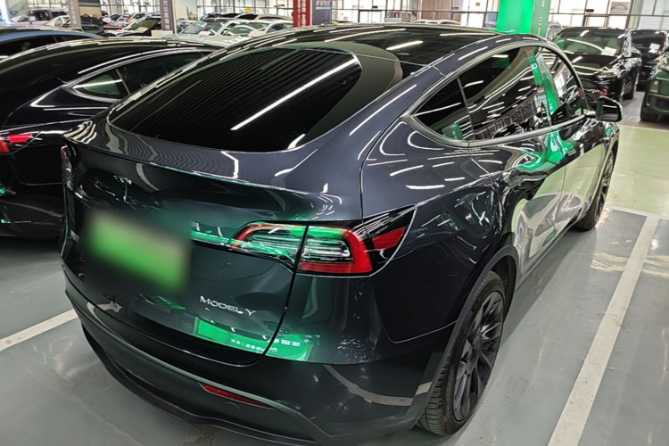 Tesla Model Y 2024 car image #7
