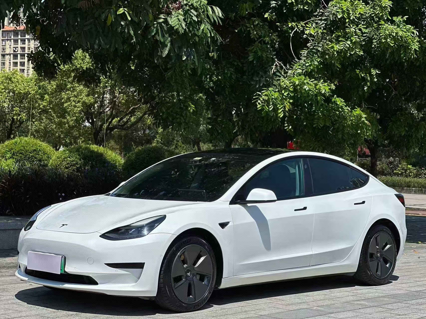 Tesla Model 3 2021 Tesla Model 3 2021 car image