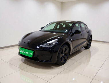 Tesla Model 3 2023 Tesla Model 3 2023 car image