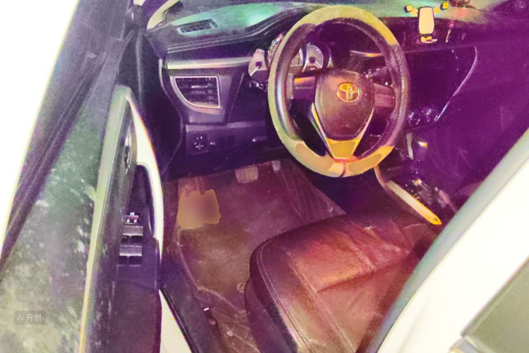 2016 #18 2016 car image #18
