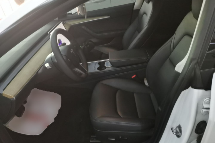 Tesla Model 3 2021 car image #15