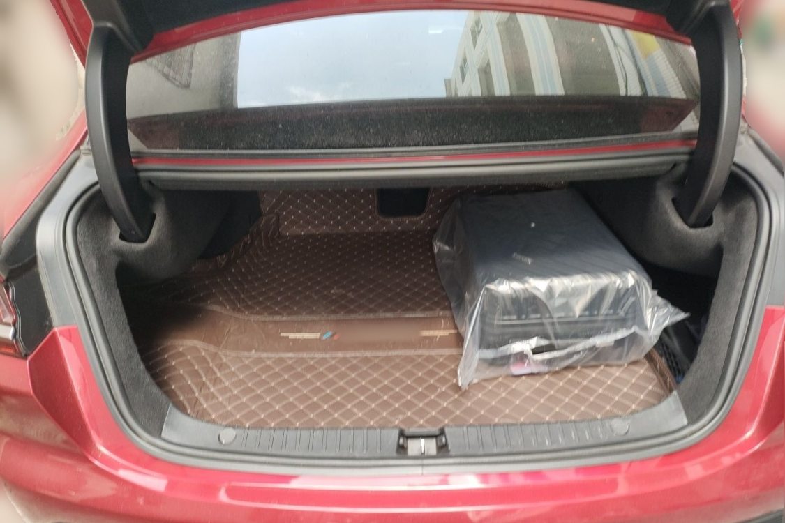 BYD Han 2020 #8 BYD Han 2020 immagine di auto #8