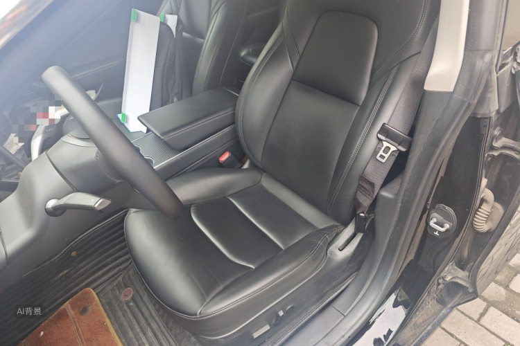 Tesla Model 3 2020 car image #17