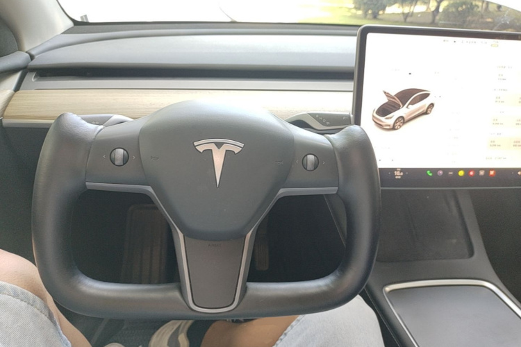 Tesla Model Y 2022 #13 Tesla Model Y 2022 car image #13