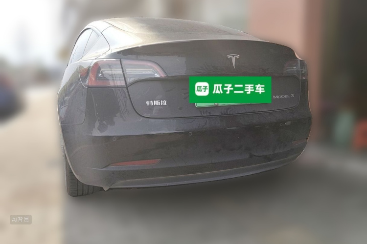 Tesla Model 3 2022 car image #6