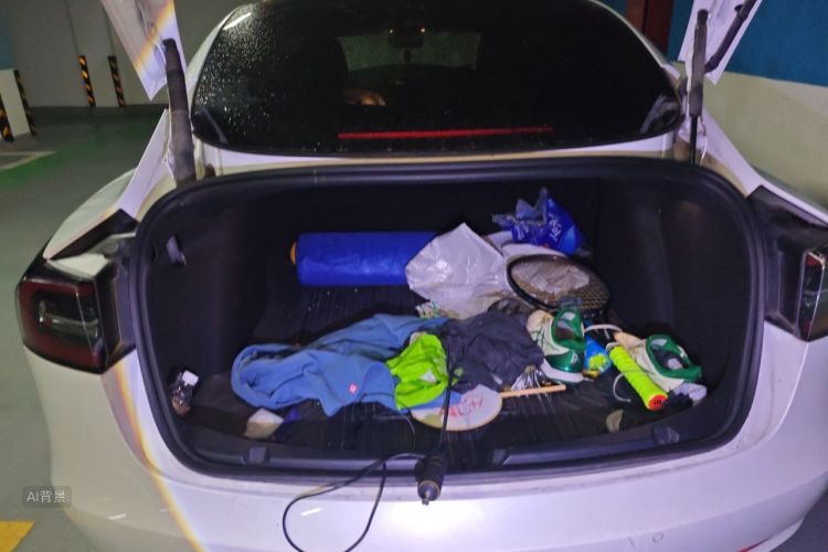 Tesla Model 3 2023 car image #21