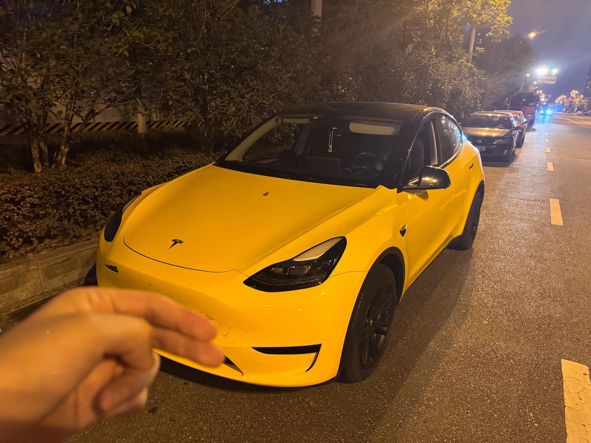 Tesla Model Y 2022 Tesla Model Y 2022 car image