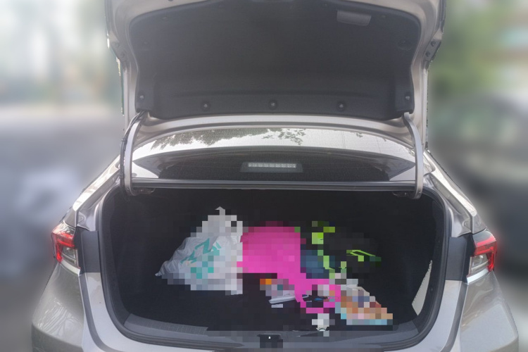 Toyota Corolla 2019 #17 Toyota Corolla 2019 car image #17