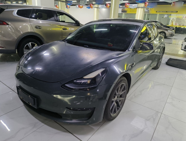 Tesla Model 3 2021 Tesla Model 3 2021 car image